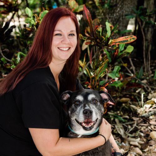 Tampa, FL Veterinary Team - Bayshore Animal Clinic